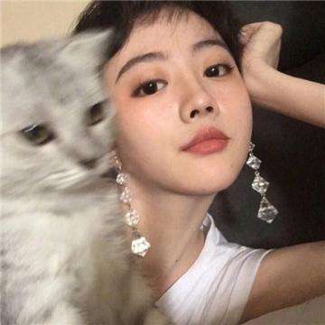 女仆大人是会长九游版下载